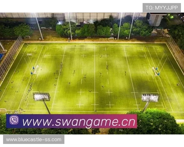 爱游戏买球网站安全可靠，提供多样化的体育赛事直播与投注服务